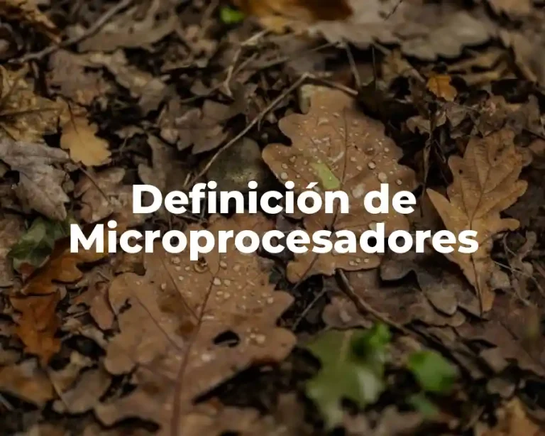 Definición de Microprocesadores