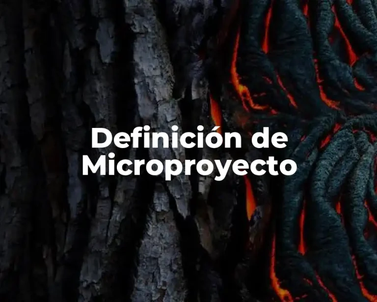 Definición de Microproyecto
