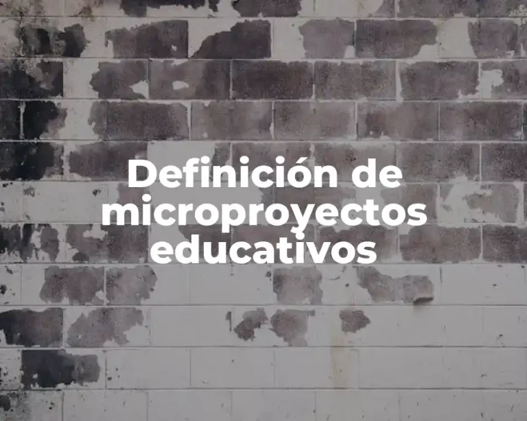 Definición de microproyectos educativos