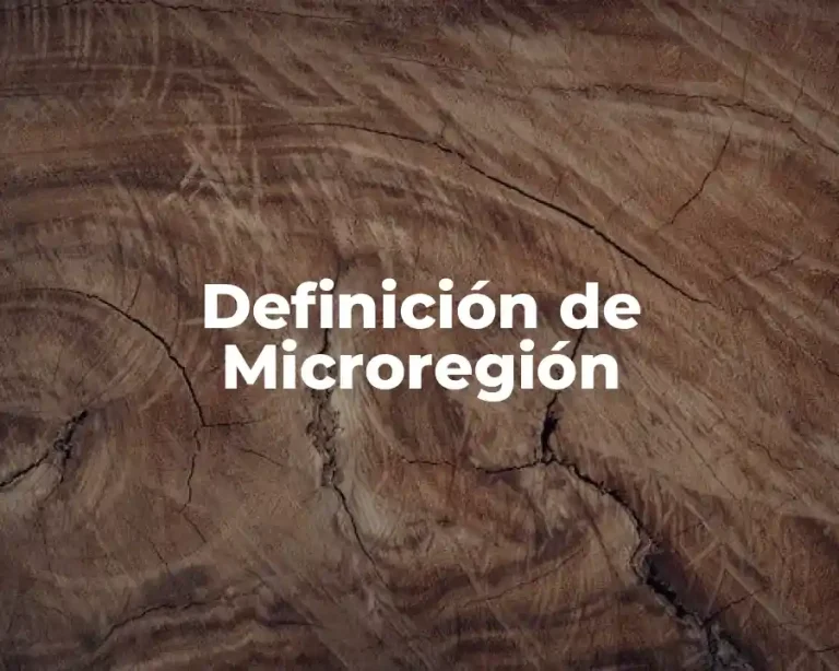 Definición de Microregión
