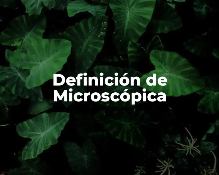 Definición de Microscópica