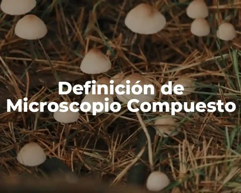 Definición de Microscopio Compuesto