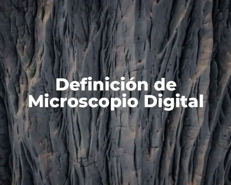 Definición de Microscopio Digital
