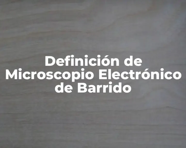 Definición de Microscopio Electrónico de Barrido