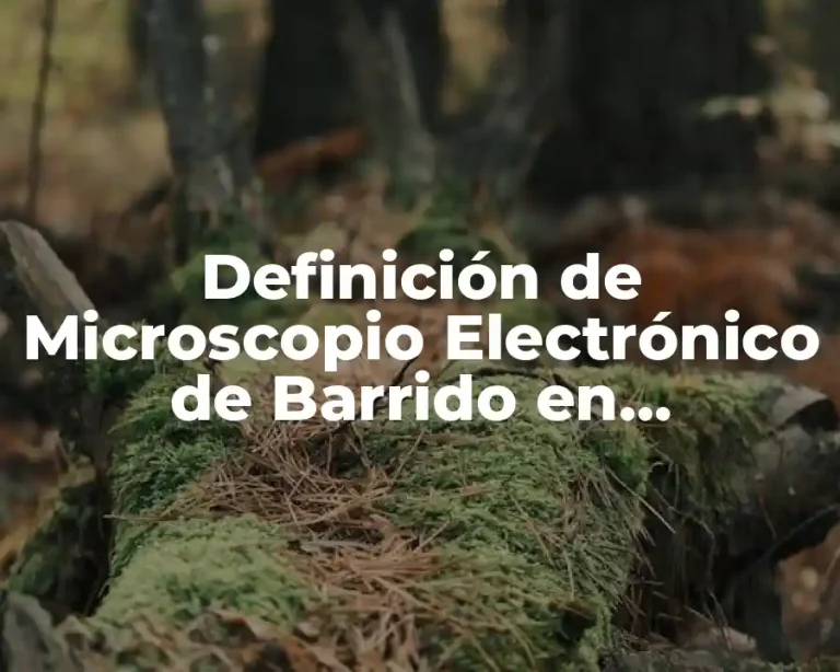 Definición de Microscopio Electrónico de Barrido en Criminalística