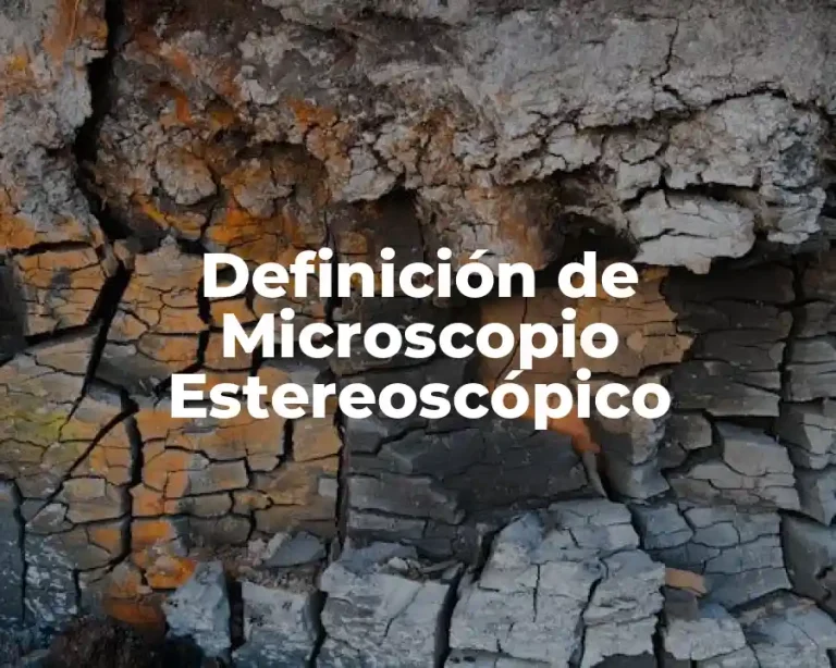 Definición de Microscopio Estereoscópico