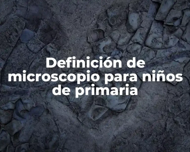Definición de microscopio para niños de primaria
