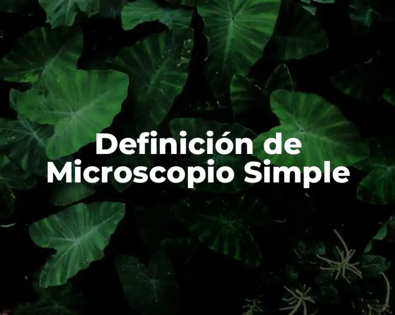 Definición de Microscopio Simple