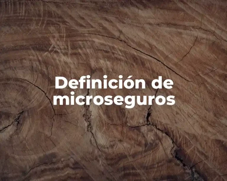 Definición de microseguros