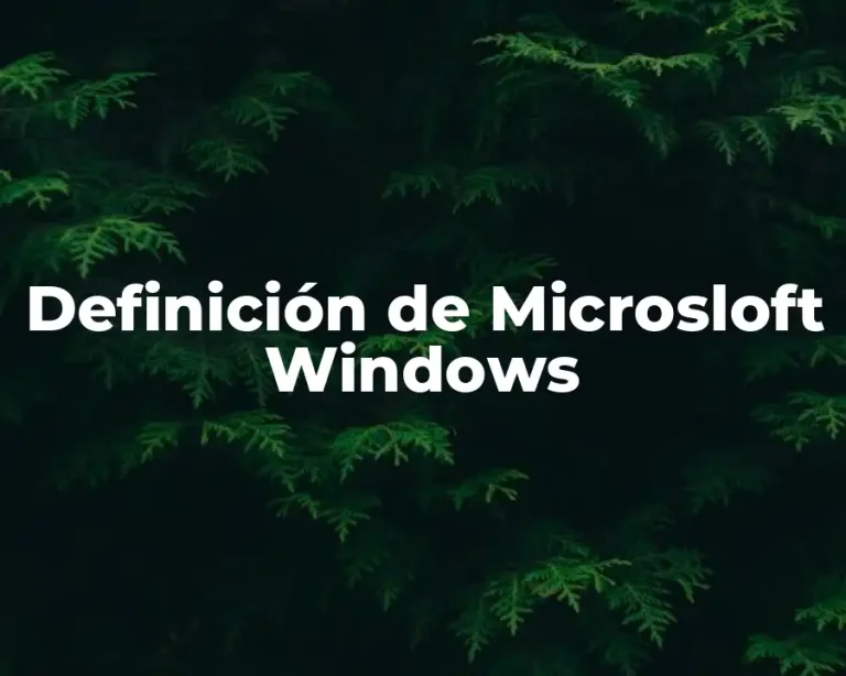 Definición de Microsloft Windows