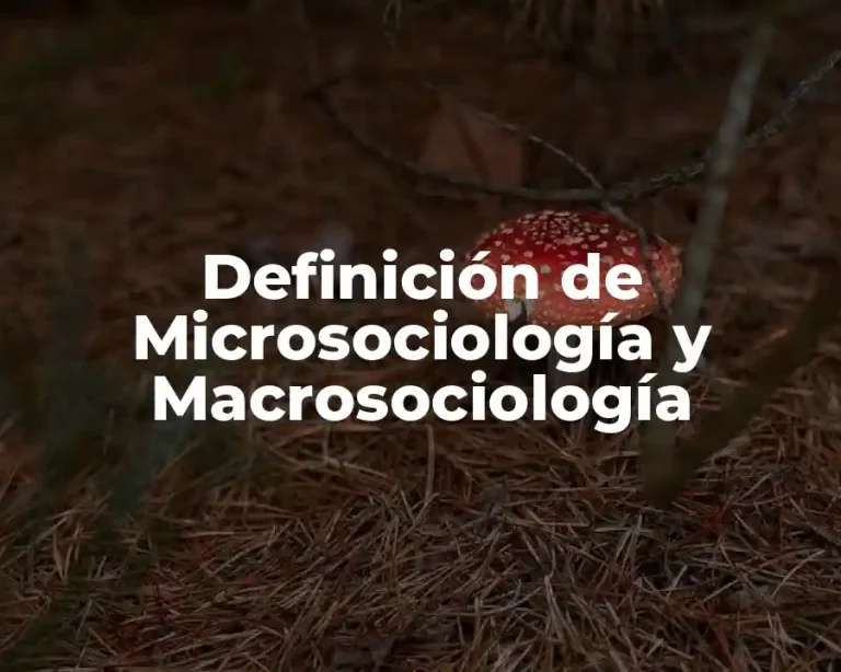 Definición de Microsociología y Macrosociología
