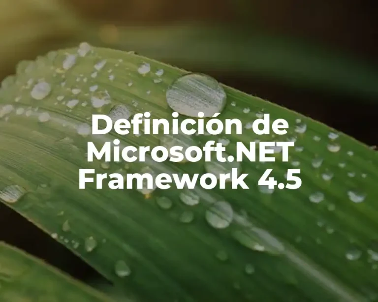 Definición de Microsoft.NET Framework 4.5