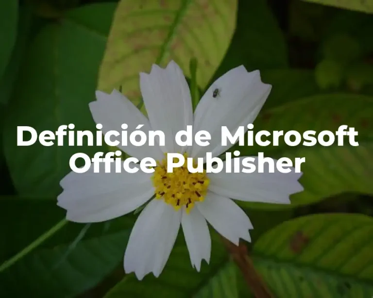 Definición de Microsoft Office Publisher