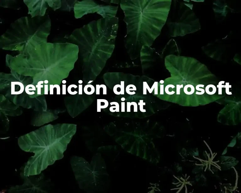 Definición de Microsoft Paint