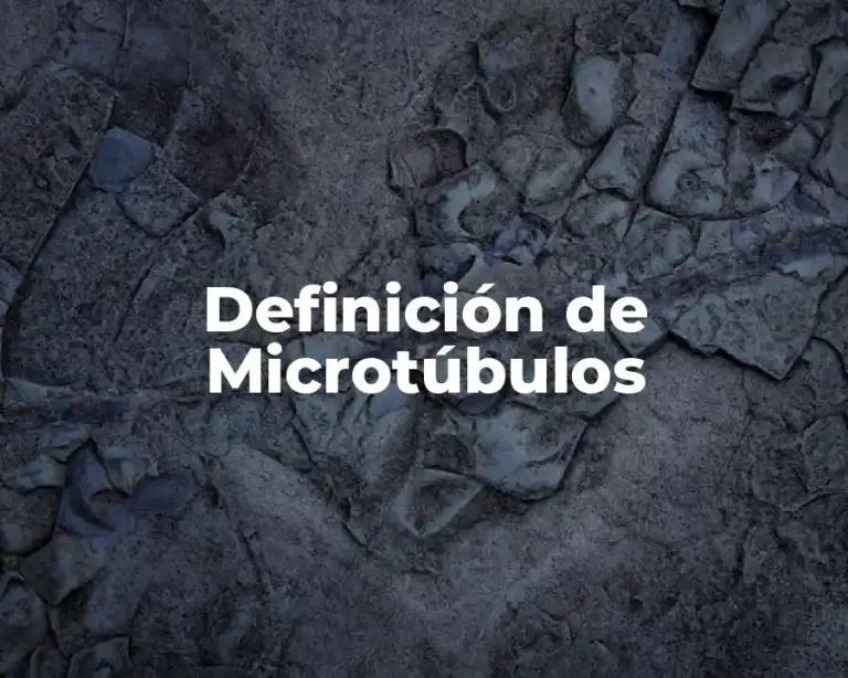 Definición de Microtúbulos