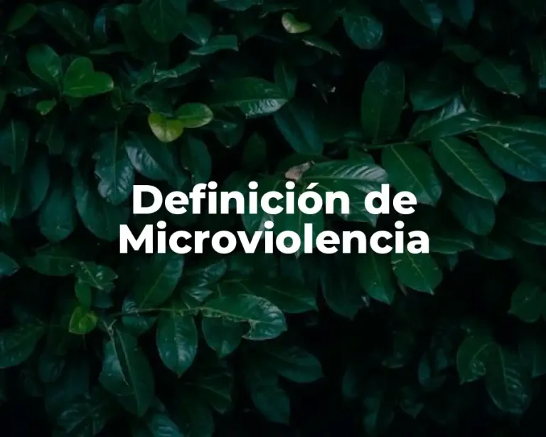 Definición de Microviolencia