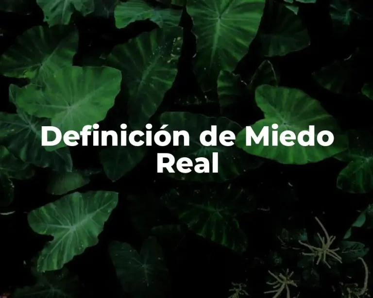 Definición de Miedo Real