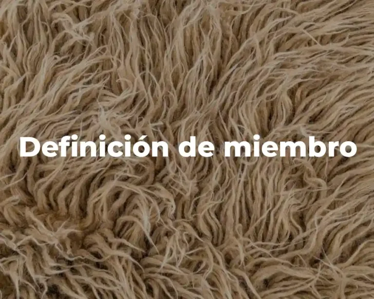 Definición de miembro