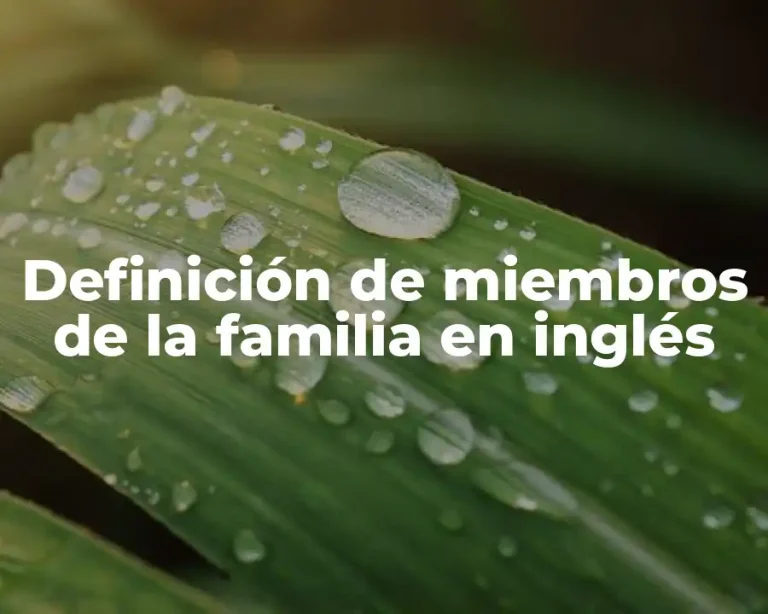 Definición de miembros de la familia en inglés