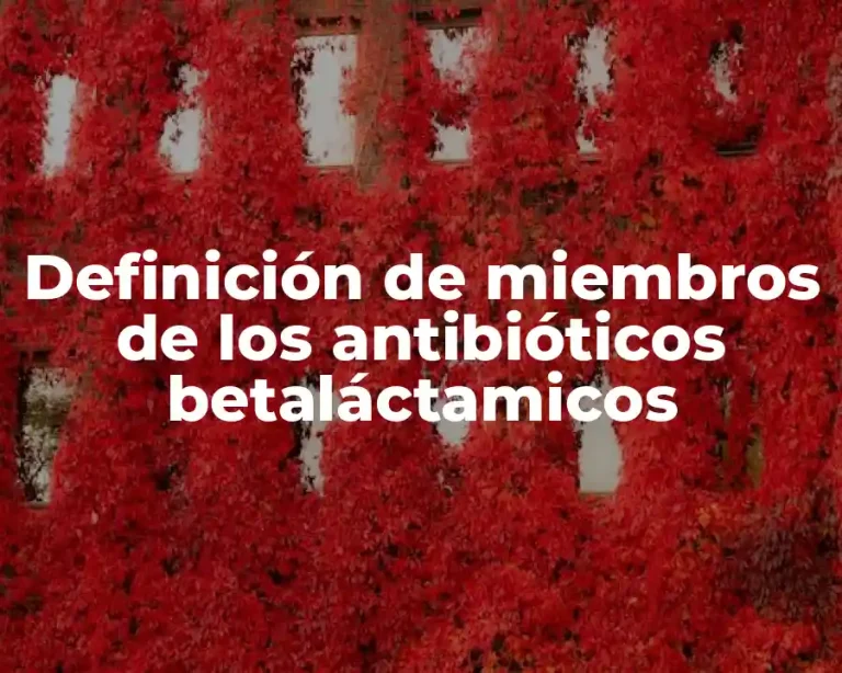 Definición de miembros de los antibióticos betaláctamicos