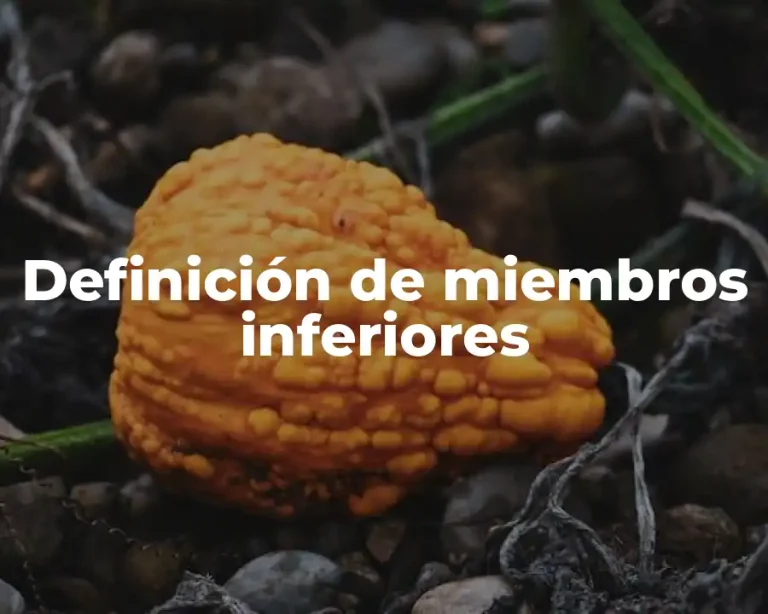 Definición de miembros inferiores