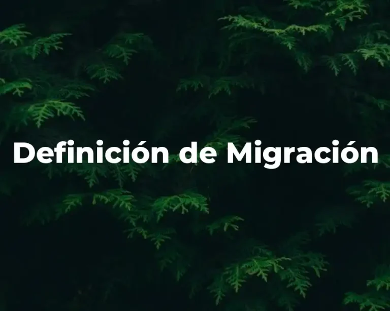 Definición de Migración