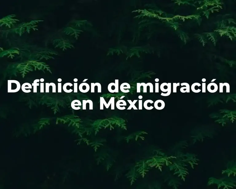 Definición de migración en México