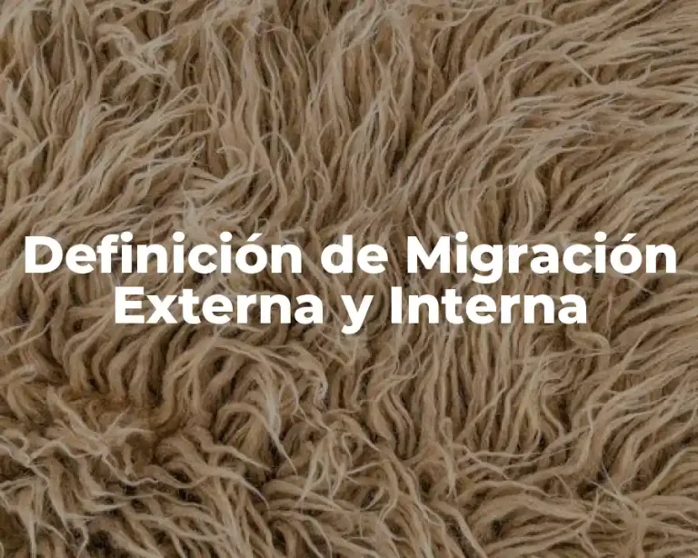 Definición de Migración Externa y Interna
