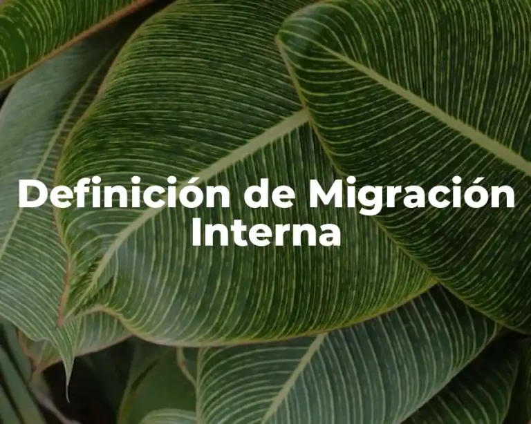 Definición de Migración Interna