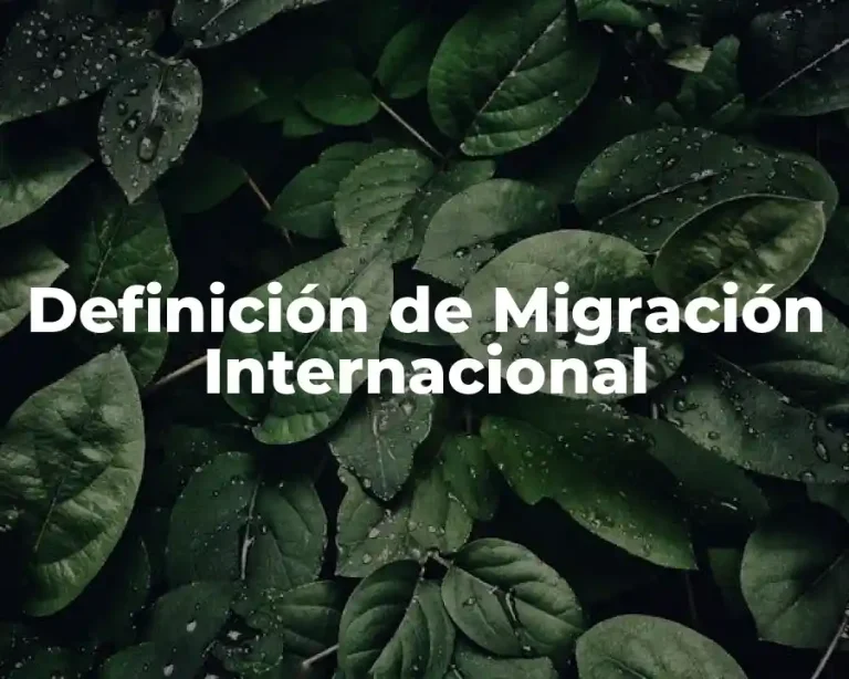 Definición de Migración Internacional