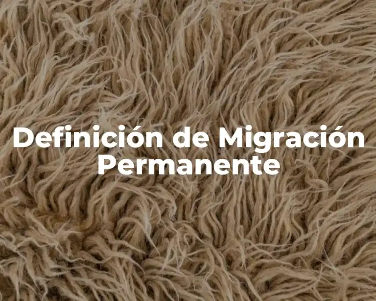 Definición de Migración Permanente