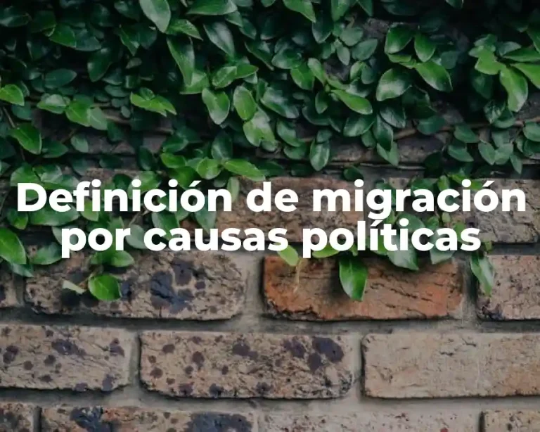 Definición de migración por causas políticas