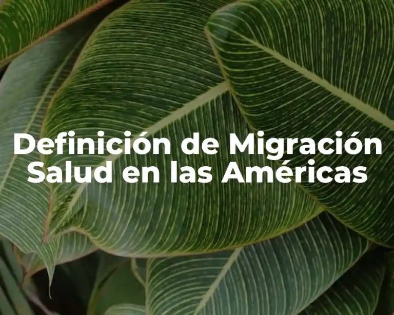 Definición de Migración Salud en las Américas