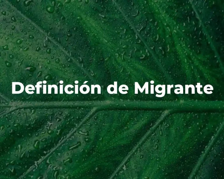 Definición de Migrante
