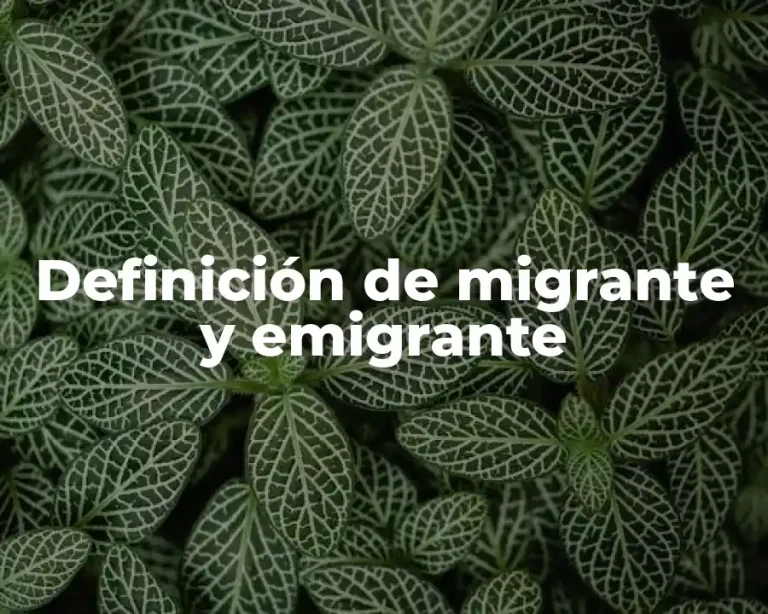 Definición de migrante y emigrante