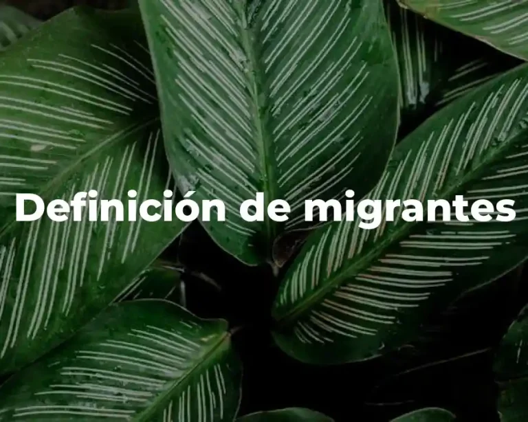 Definición de migrantes
