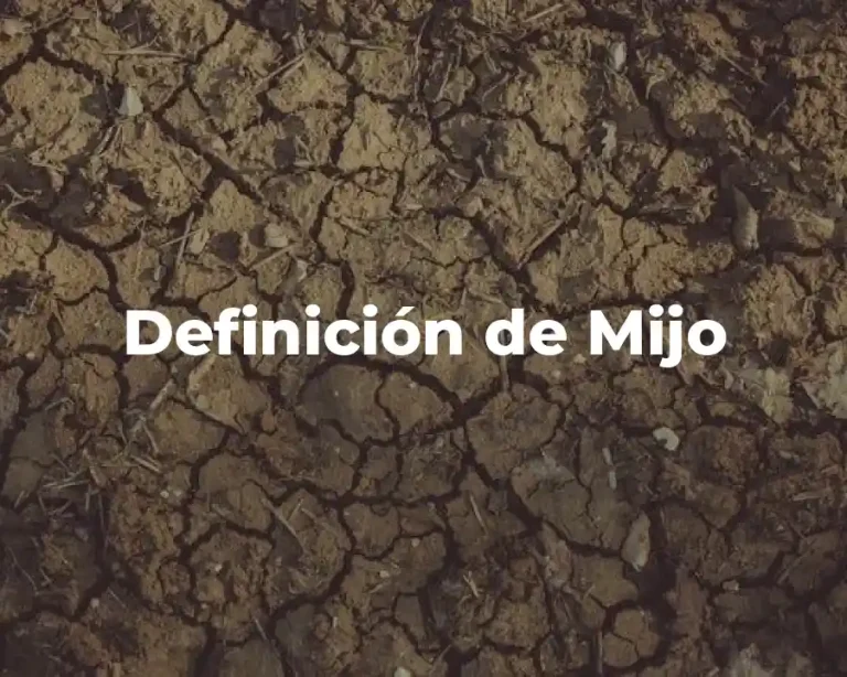Definición de Mijo