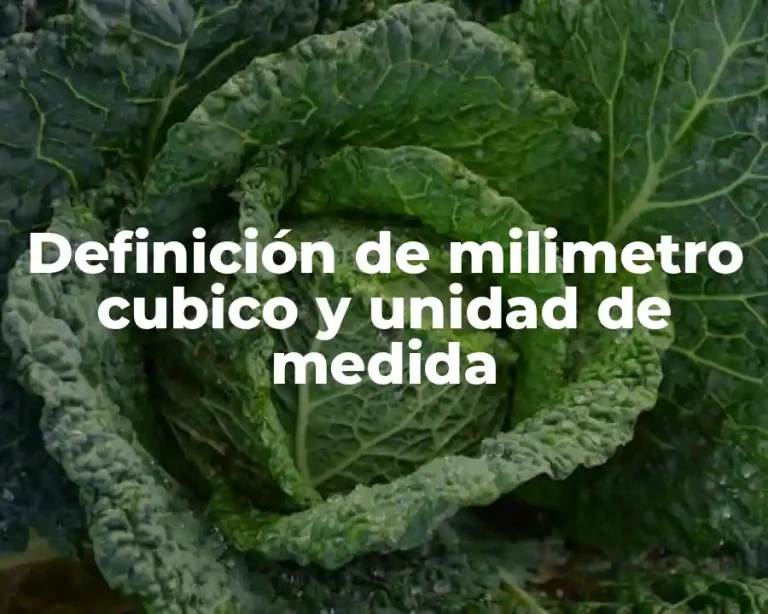 Definición de milimetro cubico y unidad de medida