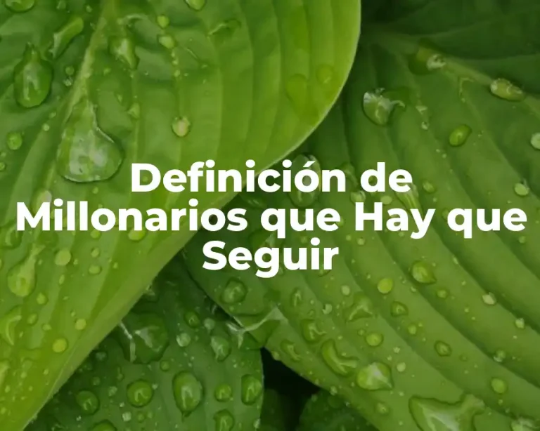 Definición de Millonarios que Hay que Seguir