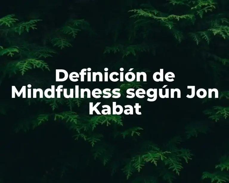 Definición de Mindfulness según Jon Kabat