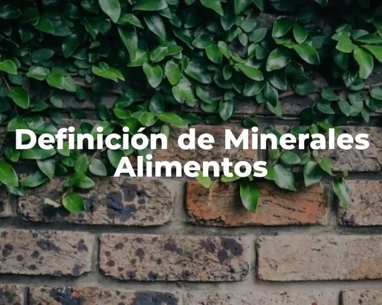 Definición de Minerales Alimentos