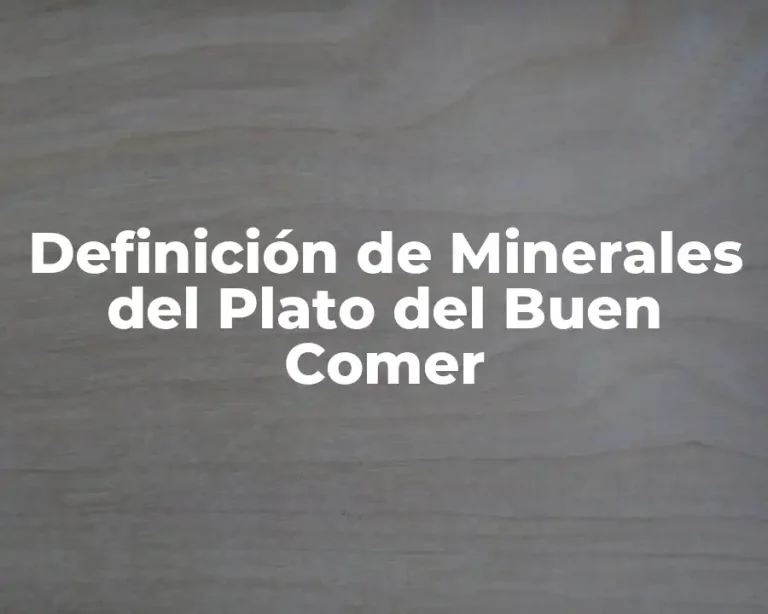 Definición de Minerales del Plato del Buen Comer