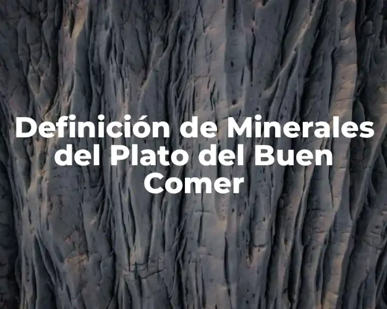 Definición de Minerales del Plato del Buen Comer