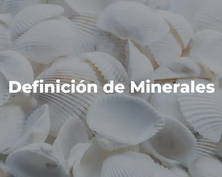 Definición de Minerales