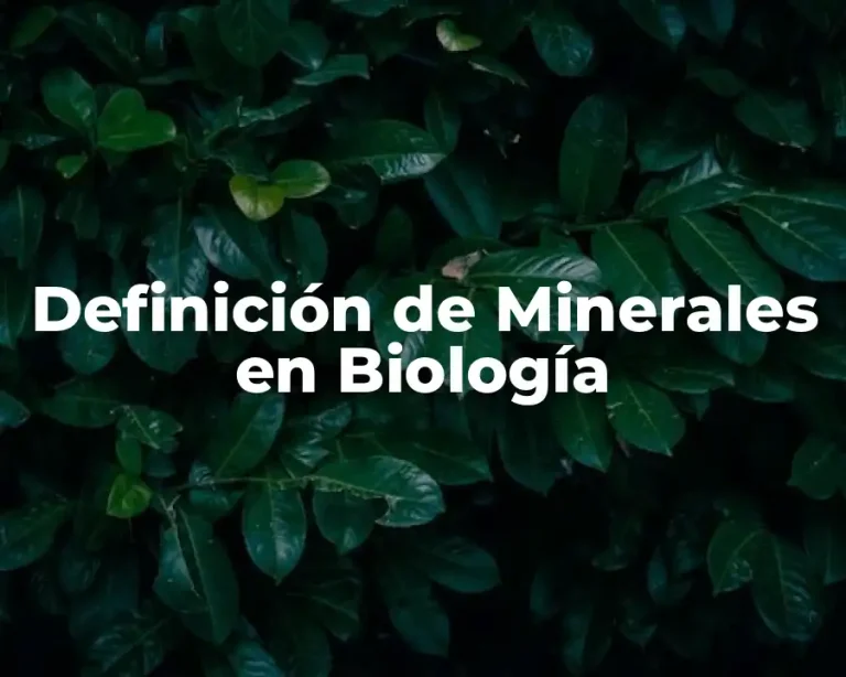 Definición de Minerales en Biología