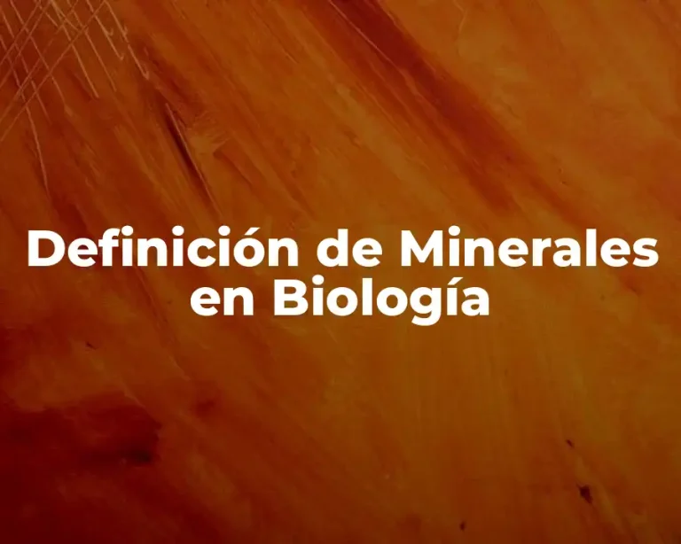 Definición de Minerales en Biología