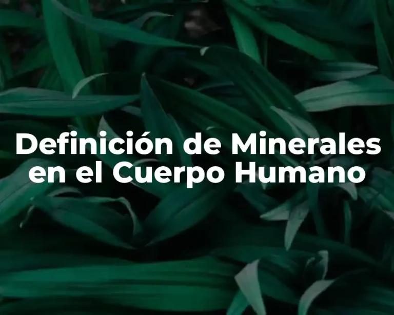 Definición de Minerales en el Cuerpo Humano