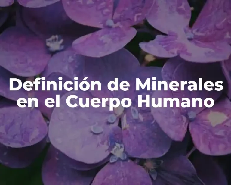 Definición de Minerales en el Cuerpo Humano