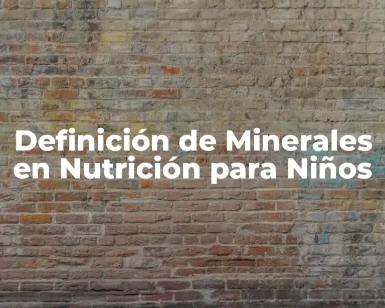 Definición de Minerales en Nutrición para Niños