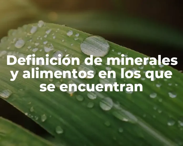 Definición de minerales y alimentos en los que se encuentran